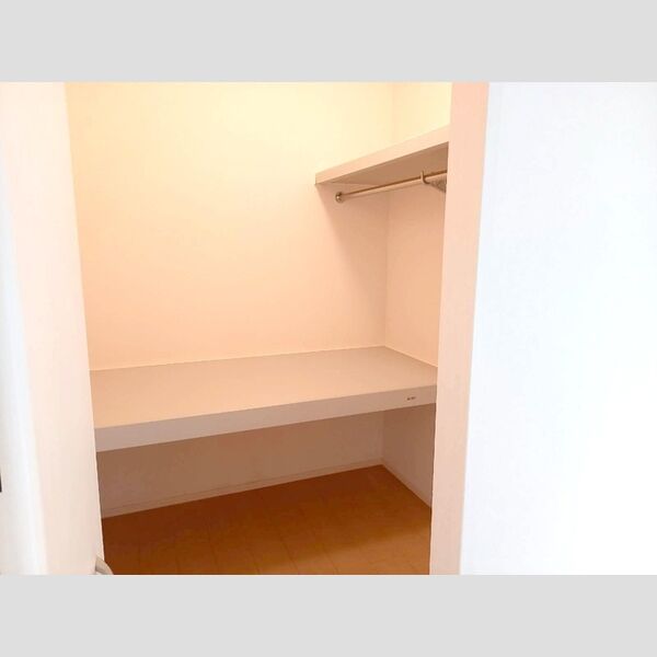 収納 (ウォークインクローゼット)