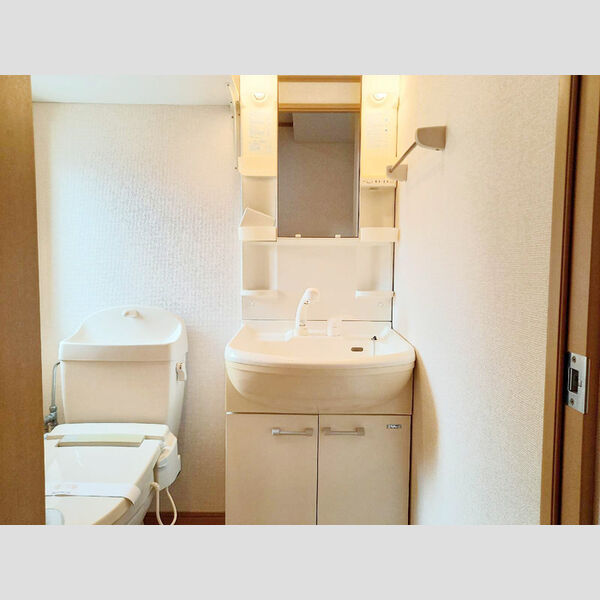 洗面所 (洗面所)