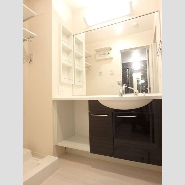 洗面所 (洗面所)