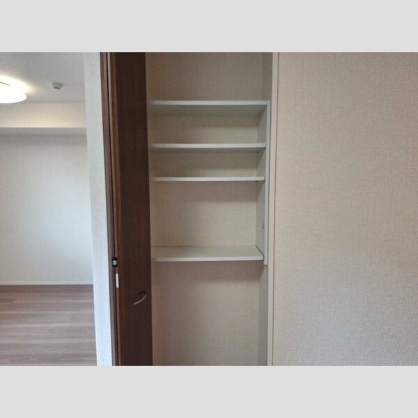 収納 (リビング横収納)