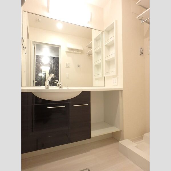 洗面所 (洗面所)