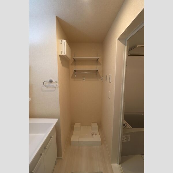 その他 (室内洗濯機置場)