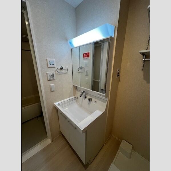 洗面所 (洗面所)