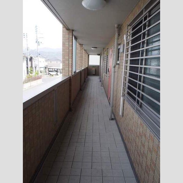 現地周辺 (共用通路)