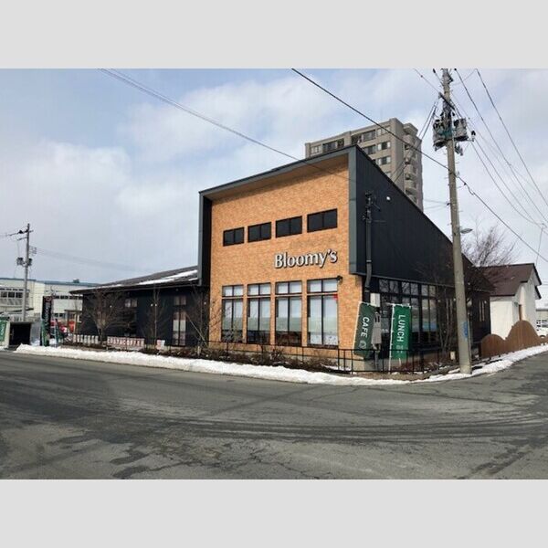 現地周辺 (ブルーミーズ南栄町店(170m))