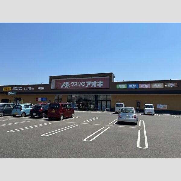 現地周辺 (クスリのアオキ中里店(850m))
