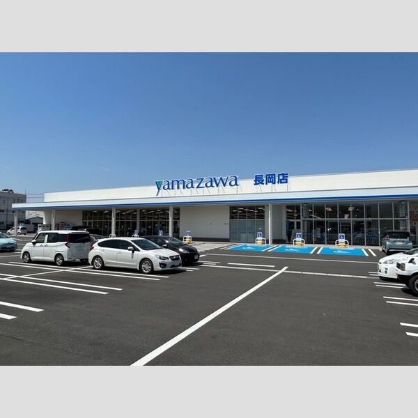 現地周辺 (ヤマザワ長岡店(98m))