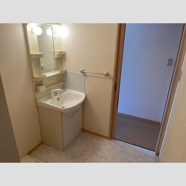 洗面所 (洗面所)