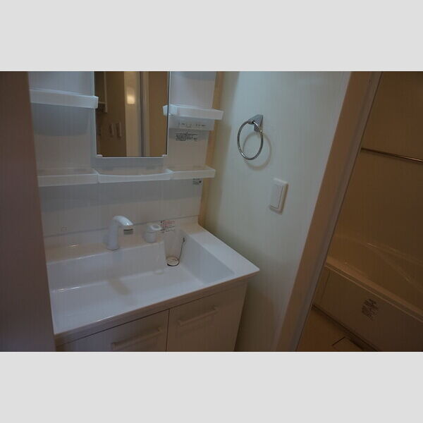 洗面所 (洗髪洗面化粧台)