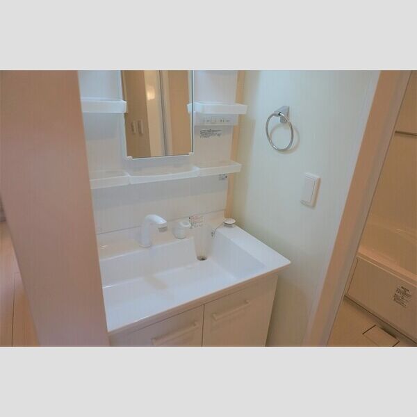 洗面所 (洗髪洗面化粧台)