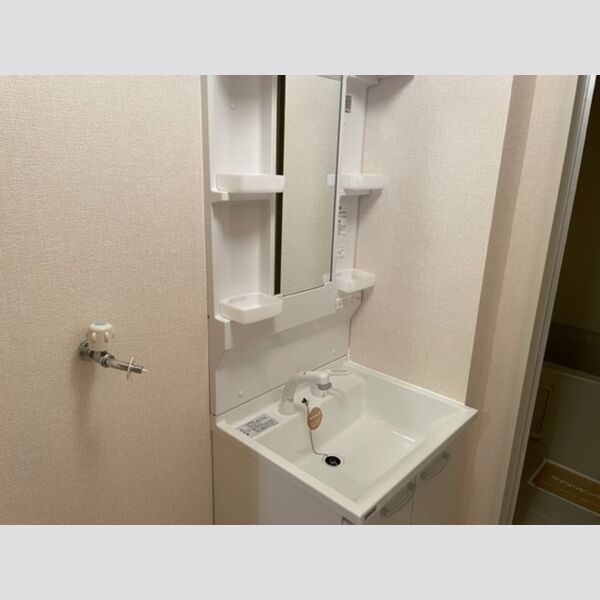 洗面所 (洗面器)