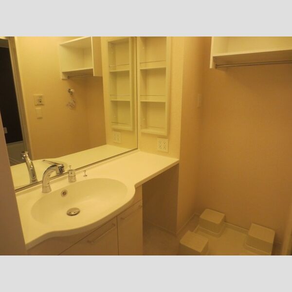 洗面所 (洗髪洗面化粧台と洗濯機置き場)