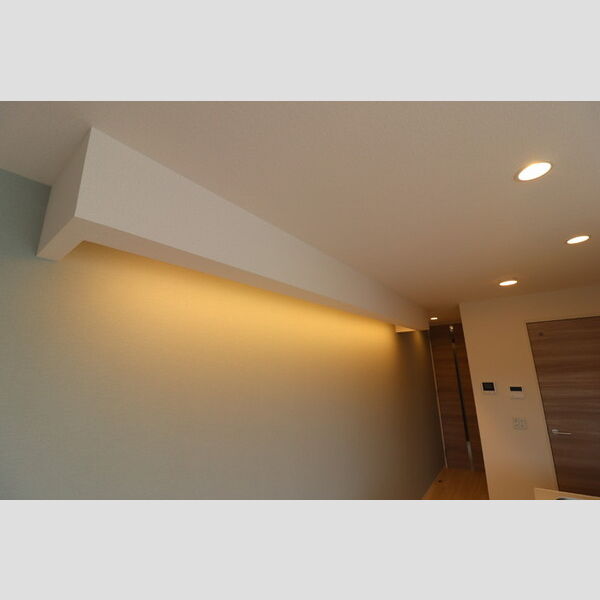 その他 (間接照明(LDK))