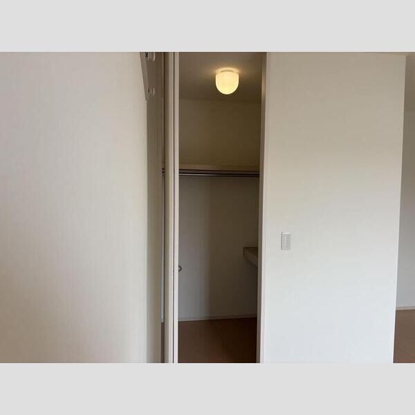 収納 (ウオークインクローゼット)