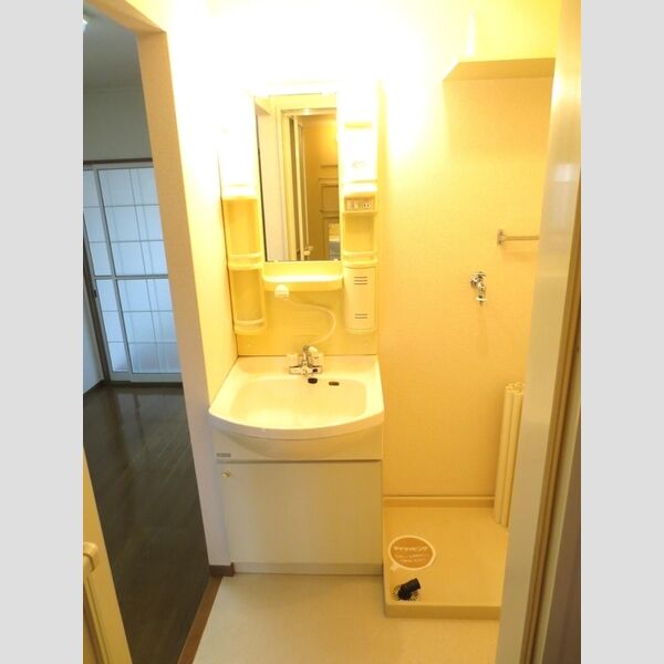 洗面所 (洗髪洗面化粧台と洗濯機置き場)