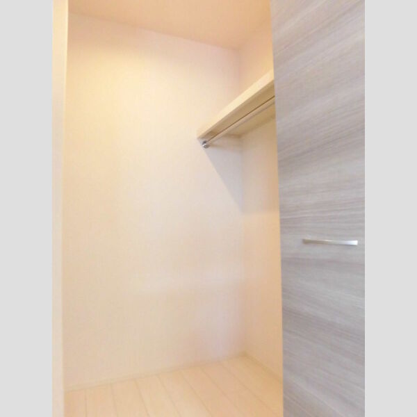 収納 (ウォークインクローゼット)