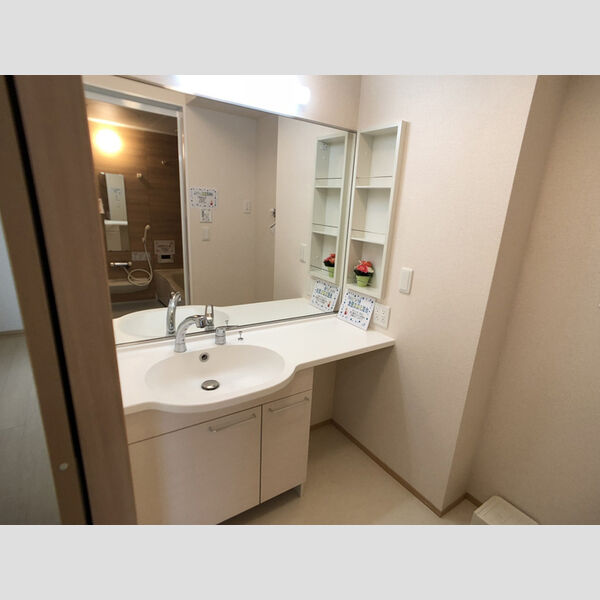 洗面所 (カウンター付き洗面化粧台)