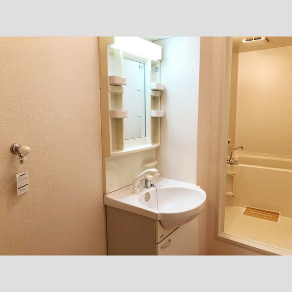 洗面所 (洗面所)