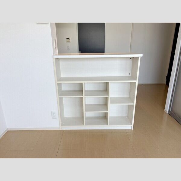 その他 (カウンター収納)