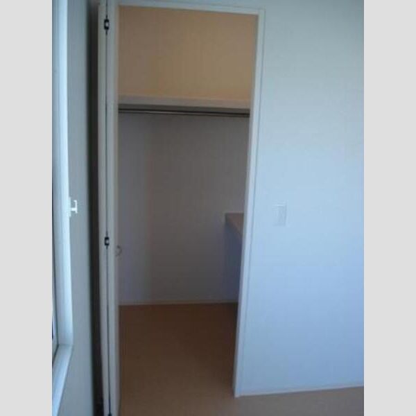 収納 (ウォークインクローゼット)