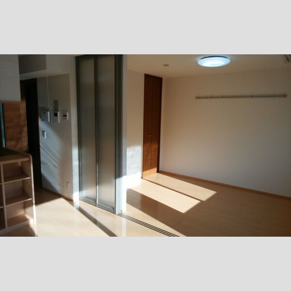 その他 (LDK・洋室)