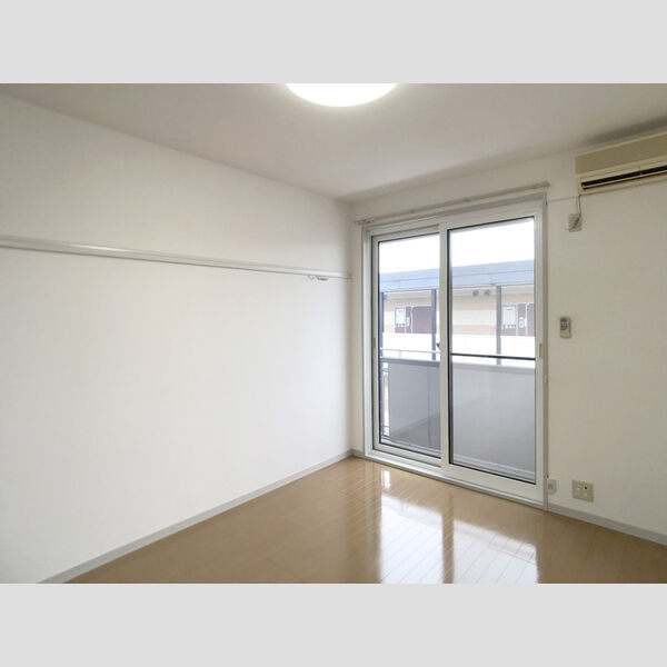 その他 (南西洋室)