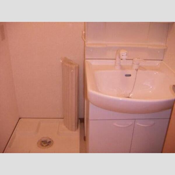 洗面所 (リュ プランシパル洗面)