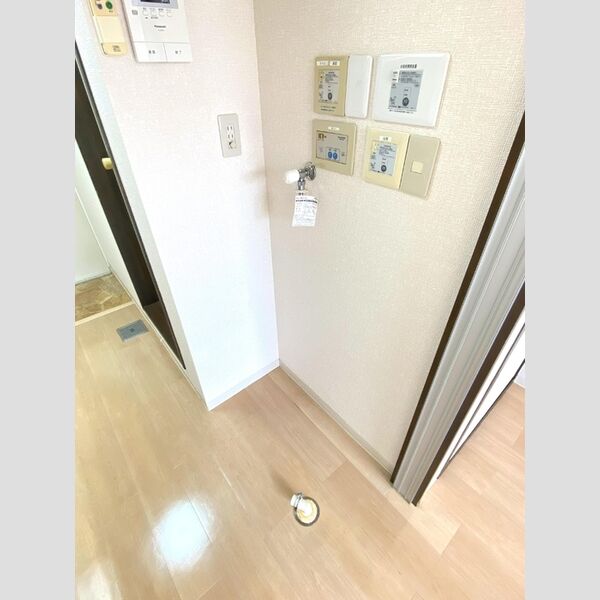 その他 (室内洗濯機置き場)