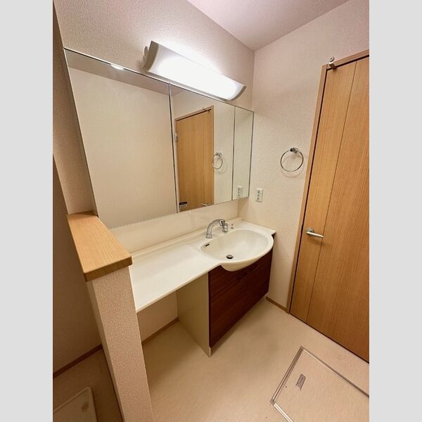 洗面所 (洗面化粧台)