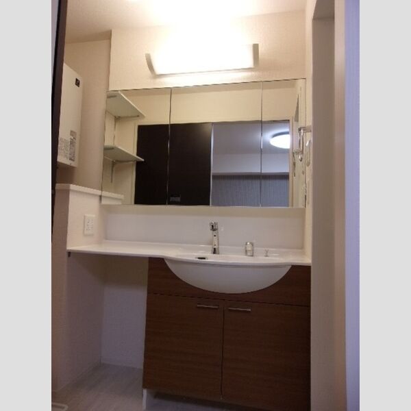 洗面所 (洗髪洗面化粧台)