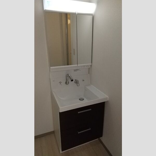 洗面所 (洗髪洗面化粧台)