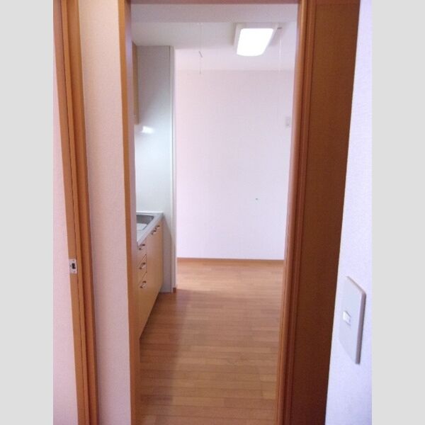 その他 (ウォークスルー(玄関⇔キッチン))