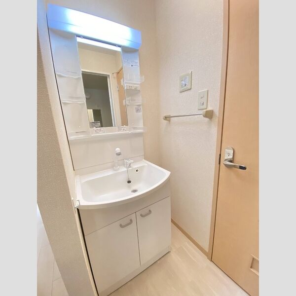 洗面所 (洗髪洗面化粧台)