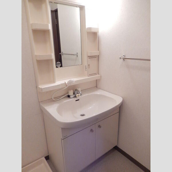洗面所 (洗髪洗面化粧台)