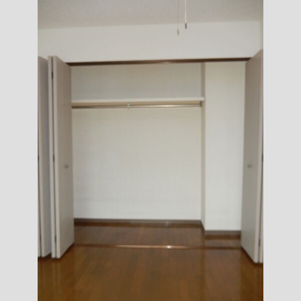 収納 (洋室クローゼット)