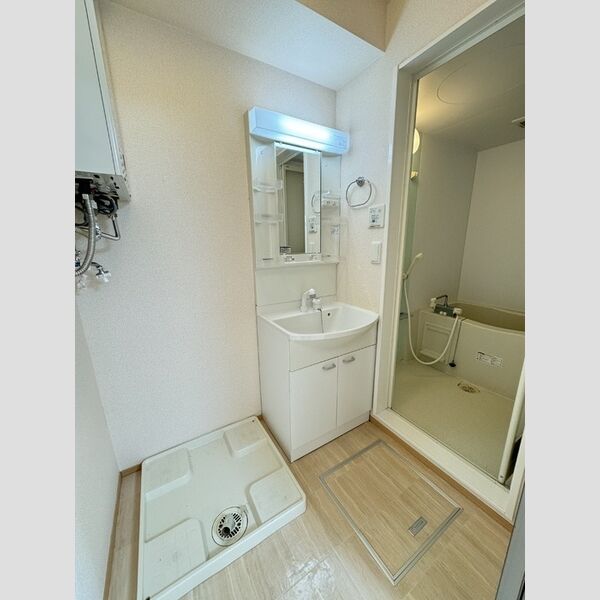 洗面所 (洗面化粧台)