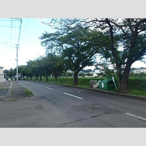 現地周辺 (セジュールフェルテ　周辺)