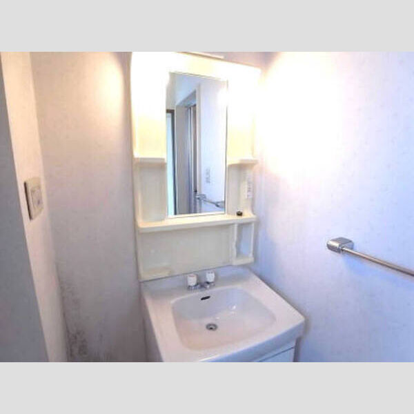 洗面所 (202洗面化粧台)