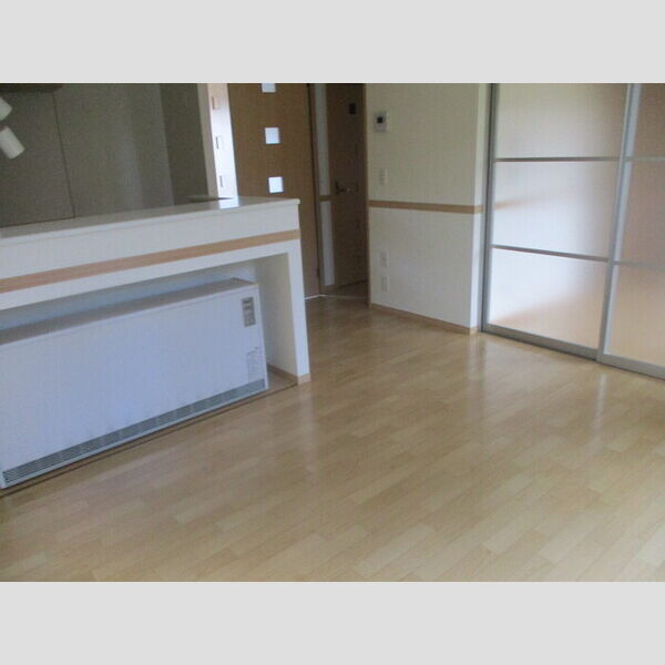 居室・リビング (LDK)