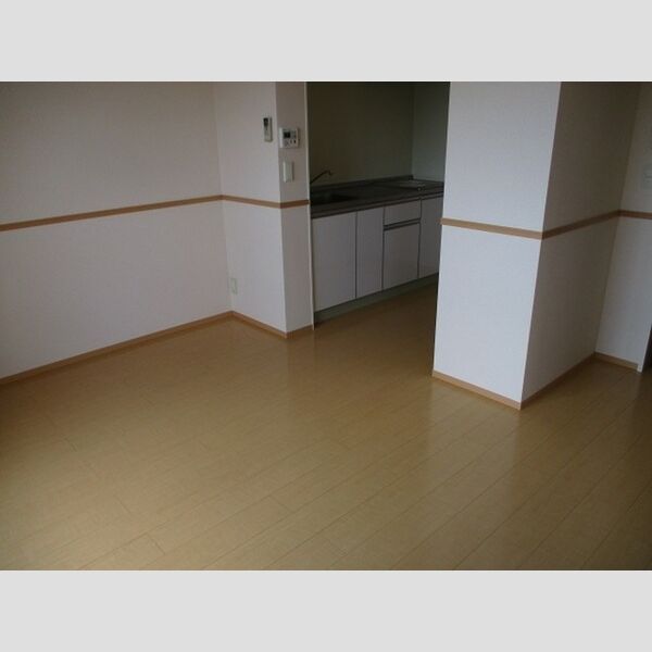 居室・リビング (メゾン・ルーチェ301LDK)