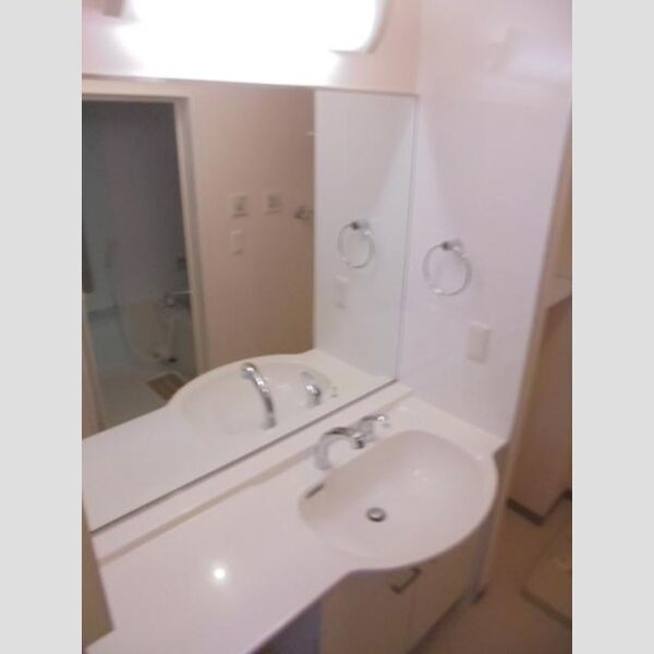 洗面所 (カウンター洗面台)