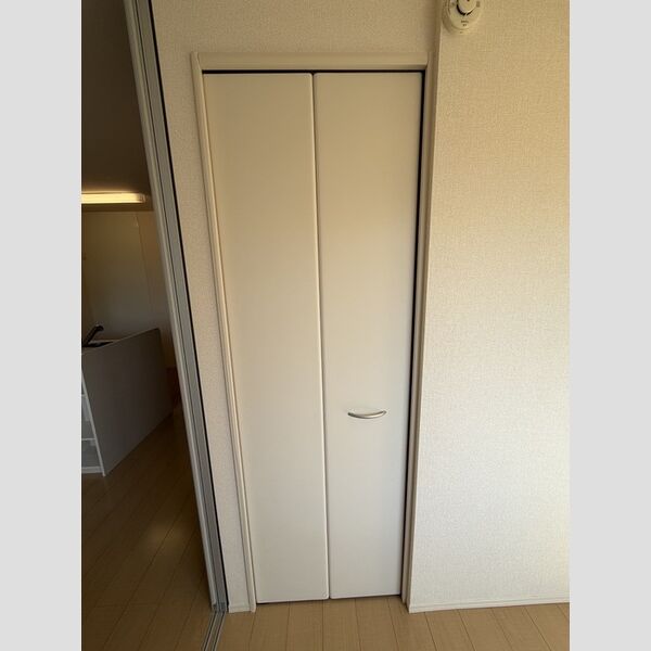 収納 (洋室収納)