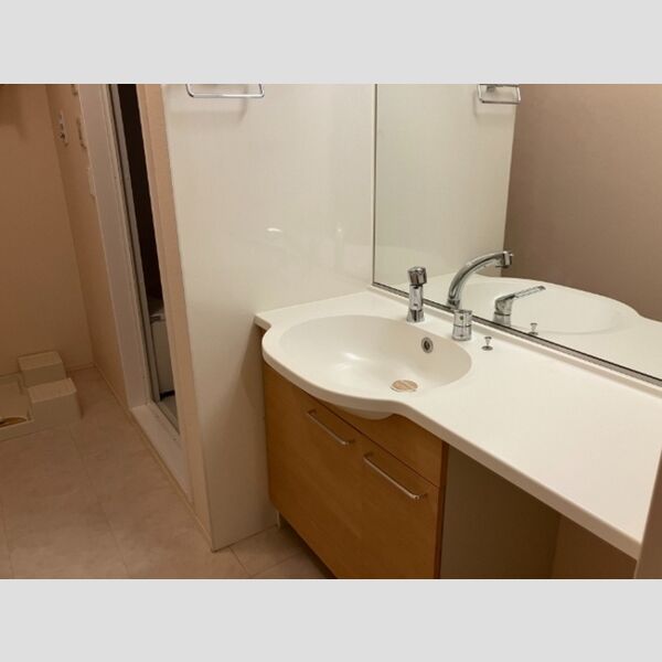 洗面所 (洗面所)