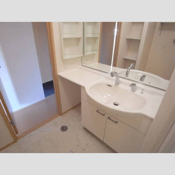 洗面所 (カウンター型洗髪洗面化粧台)