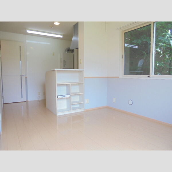 居室・リビング (LDK)