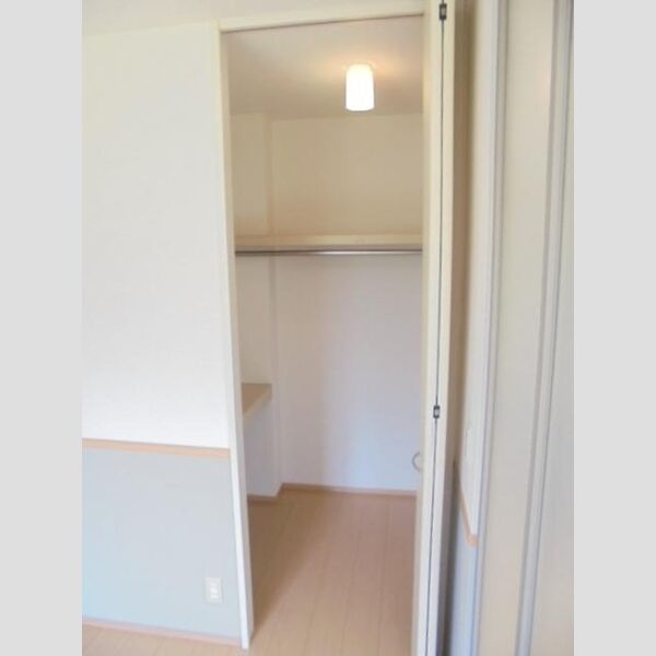 収納 (ウォークインクローゼット(洋室))