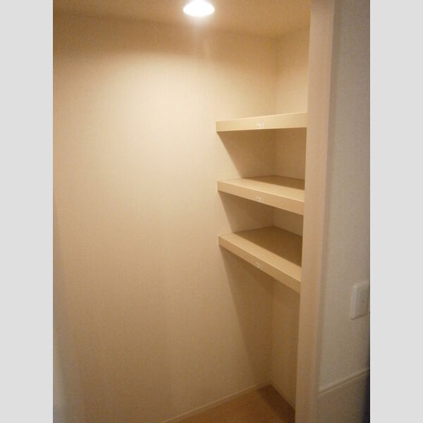 収納 (物入れ(LDK))