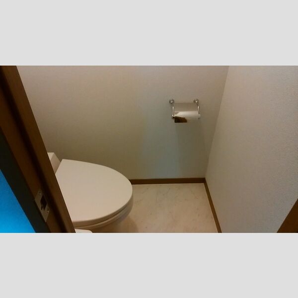 トイレ (おしゃれな紙巻器)