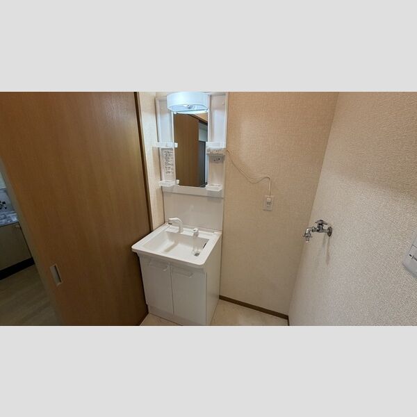 洗面所 (洗髪洗面化粧台)