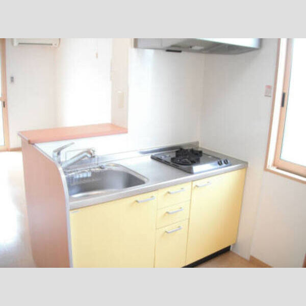 キッチン (203 対面キッチン(ビルトインコンロ付))